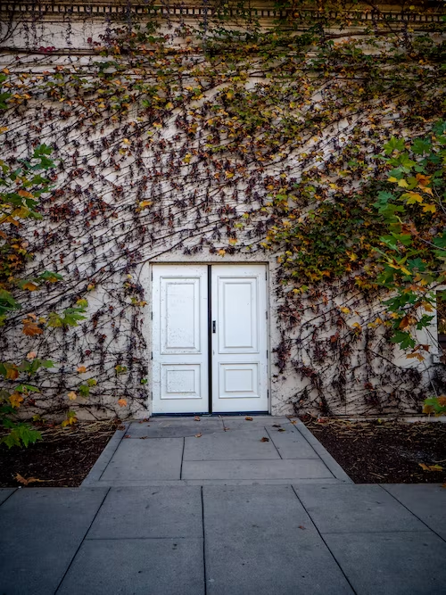 door set in ivy covered wall